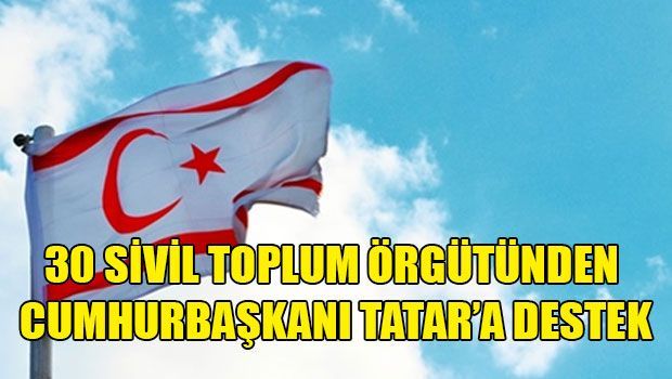 30 организаций подписали декларацию в поддержку президента Татара на переговорах