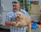 Советы по уходу за животными - всем желающим!
