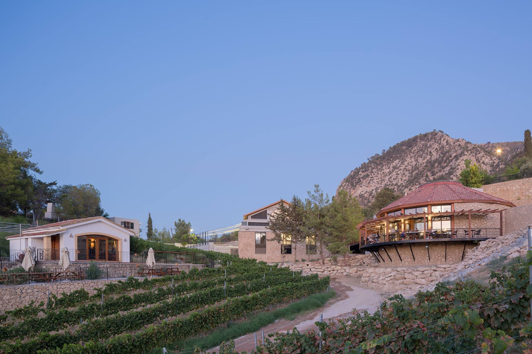 Винодельня Gillham Vineyard