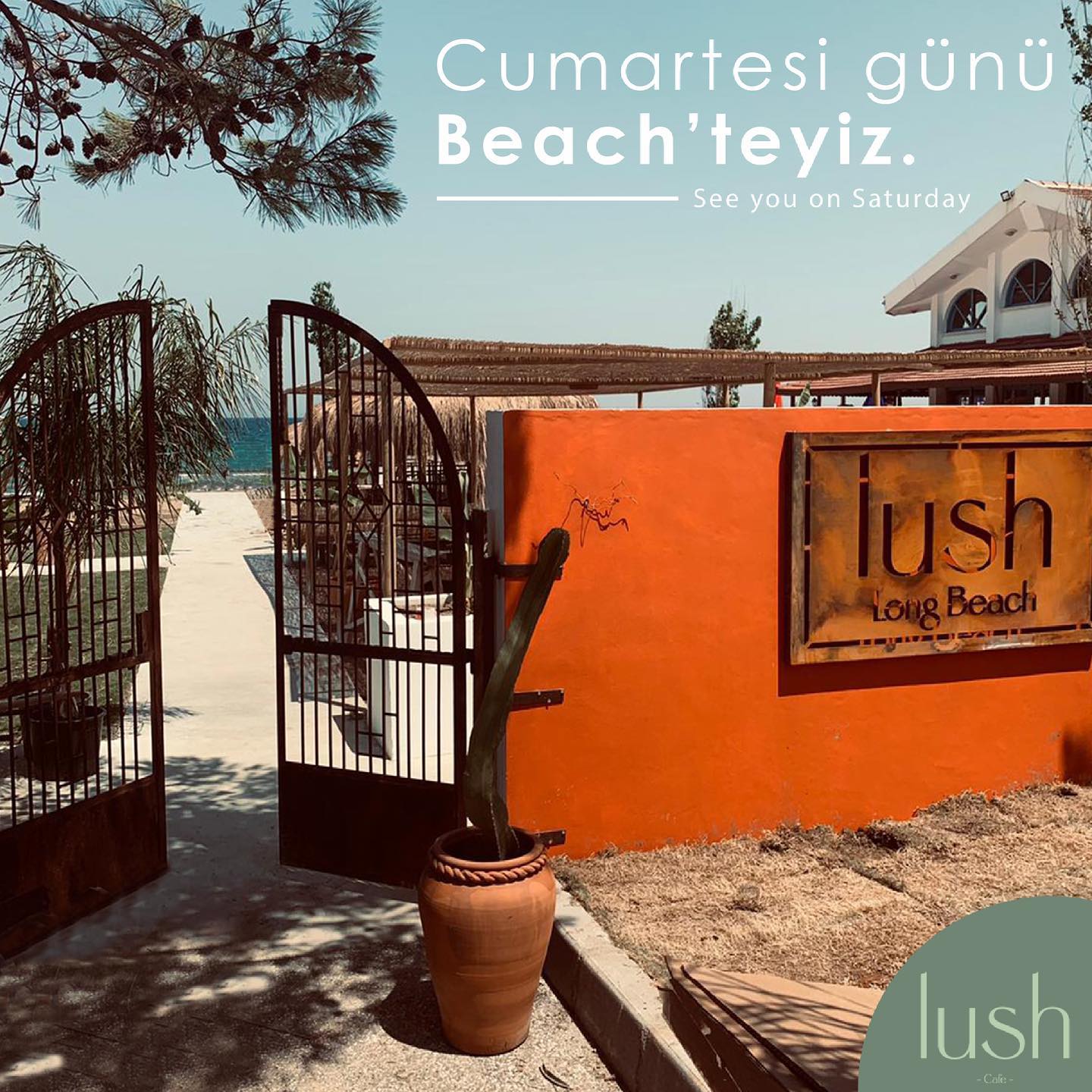 Пляжная зона Lush Long Beach