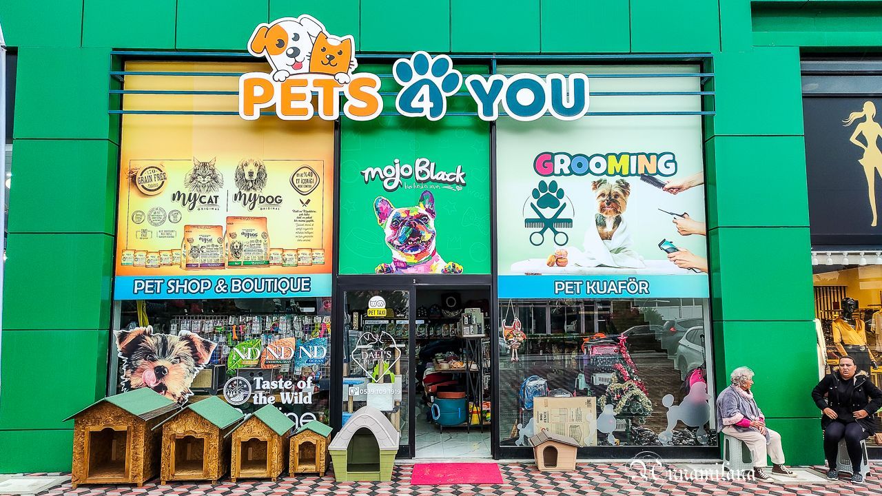 Магазин для животных "Pets 4 you"
