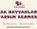 Акция помощи животным в Фамагусте