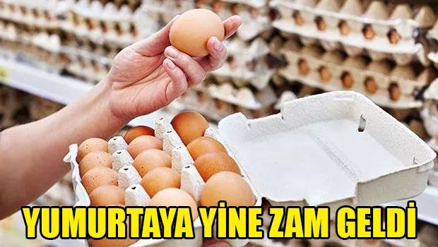 Повышена цена на яйца