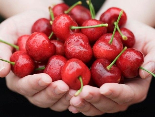Фестиваль черешни в деревне Педулас