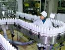 Объем экспорта молочных продуктов достигнет 150 миллионов долларов