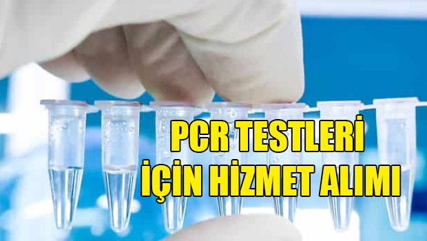 PCR-тесты можно будет сдать в частных лабораториях