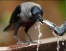 Вода за свободу