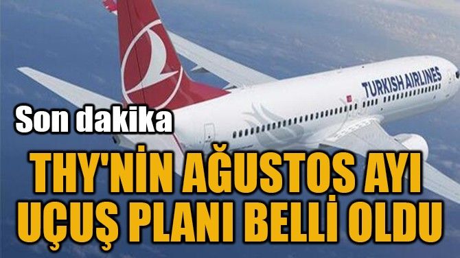 Turkish Airlines планирует возобновить полеты в Россию и другие страны