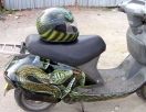 Закон - в силу