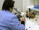 Новый порядок медицинского обследования для виз