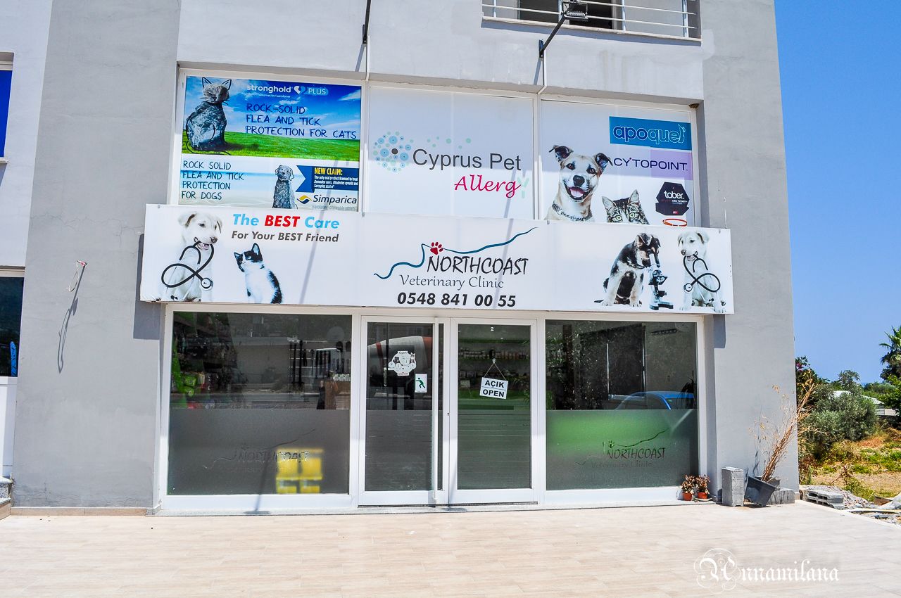 Ветеринарная клиника «North Coast Veterinary Clinic»