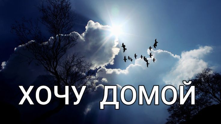 Как вернуться в Россию, если вы застряли на Кипре?