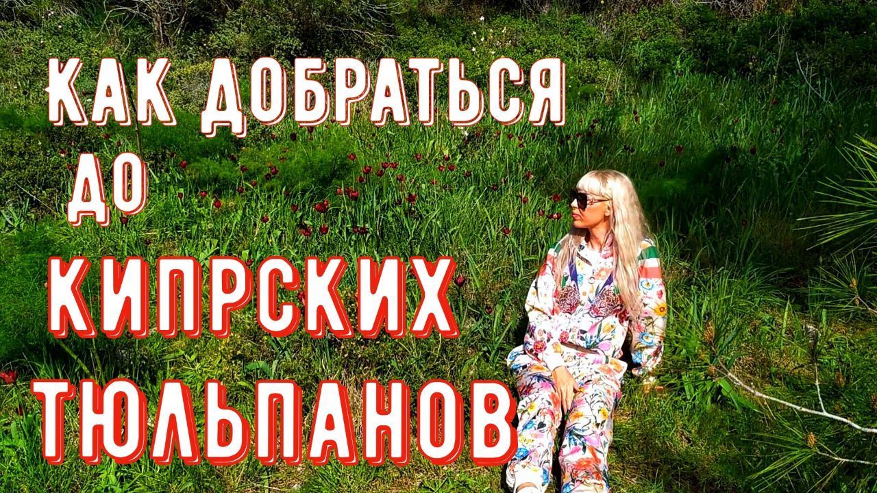 Дорога к диким тюльпанам