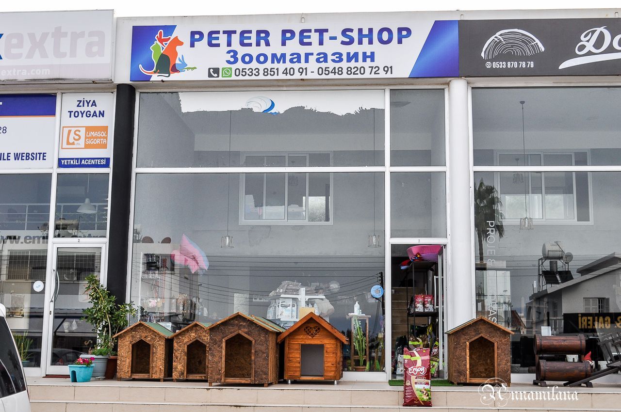 Зоомагазин "Peter Pet shop" Зоомагазин "Peter Pet shop"
