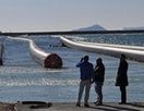 Следующий этап проекта по проведению водопроводной трубы из Турции в ТРСК будет завершен во время.