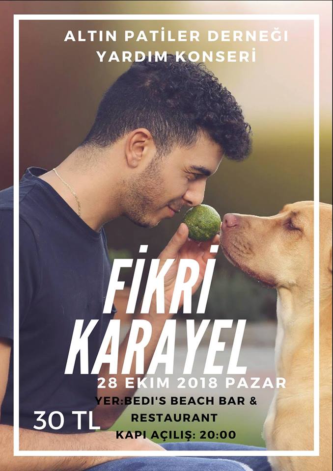 Благотворительный концерт Fikri Karayel в пользу животных