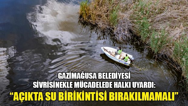 Муниципалитет Фамагусты ведёт борьбу с комарами
