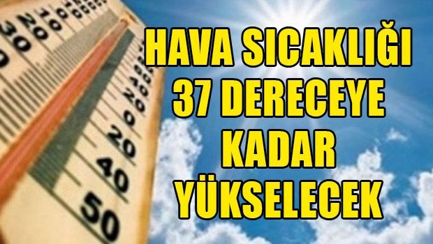 На выходные нам обещают +37 На выходные нам обещают +37