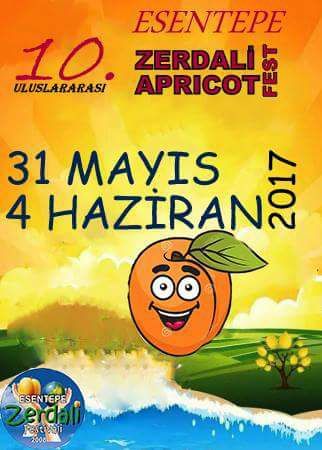 10-й фестиваль абрикосов