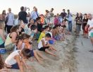 Студенты Фамагусты выпустили в море черепашат