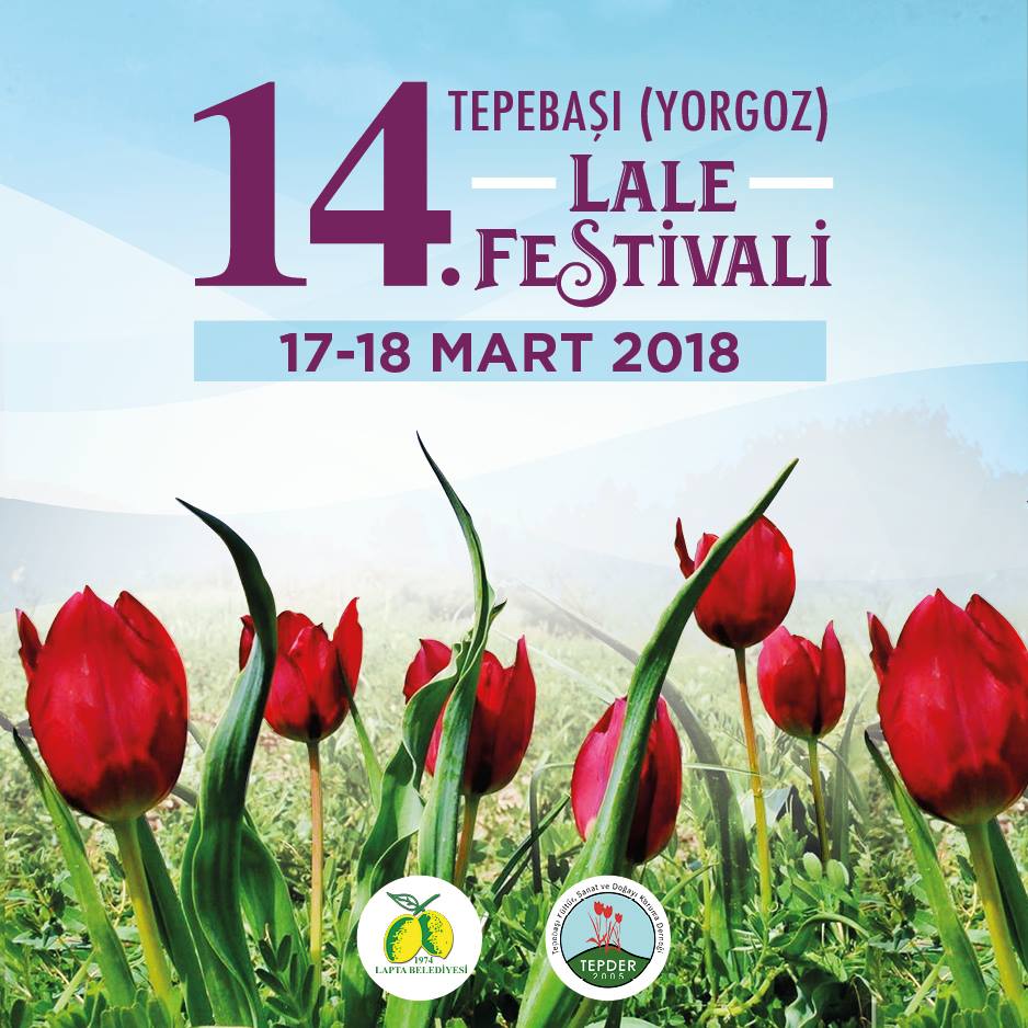 Фестиваль тюльпанов