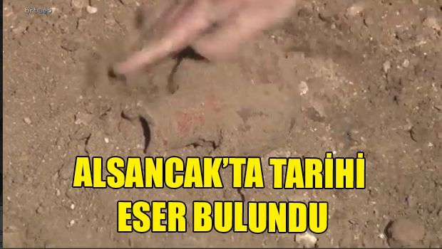 При раскопках бассейна были обнаружены исторические артефакты