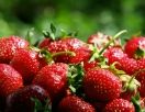 Фестиваль клубники на Северном Кипре
