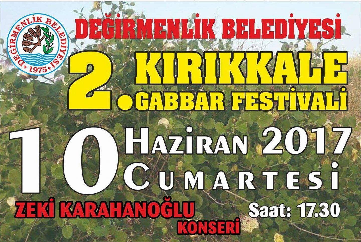 2-й фестиваль каперсов в Kırıkkale 2-й фестиваль каперсов в Kırıkkale