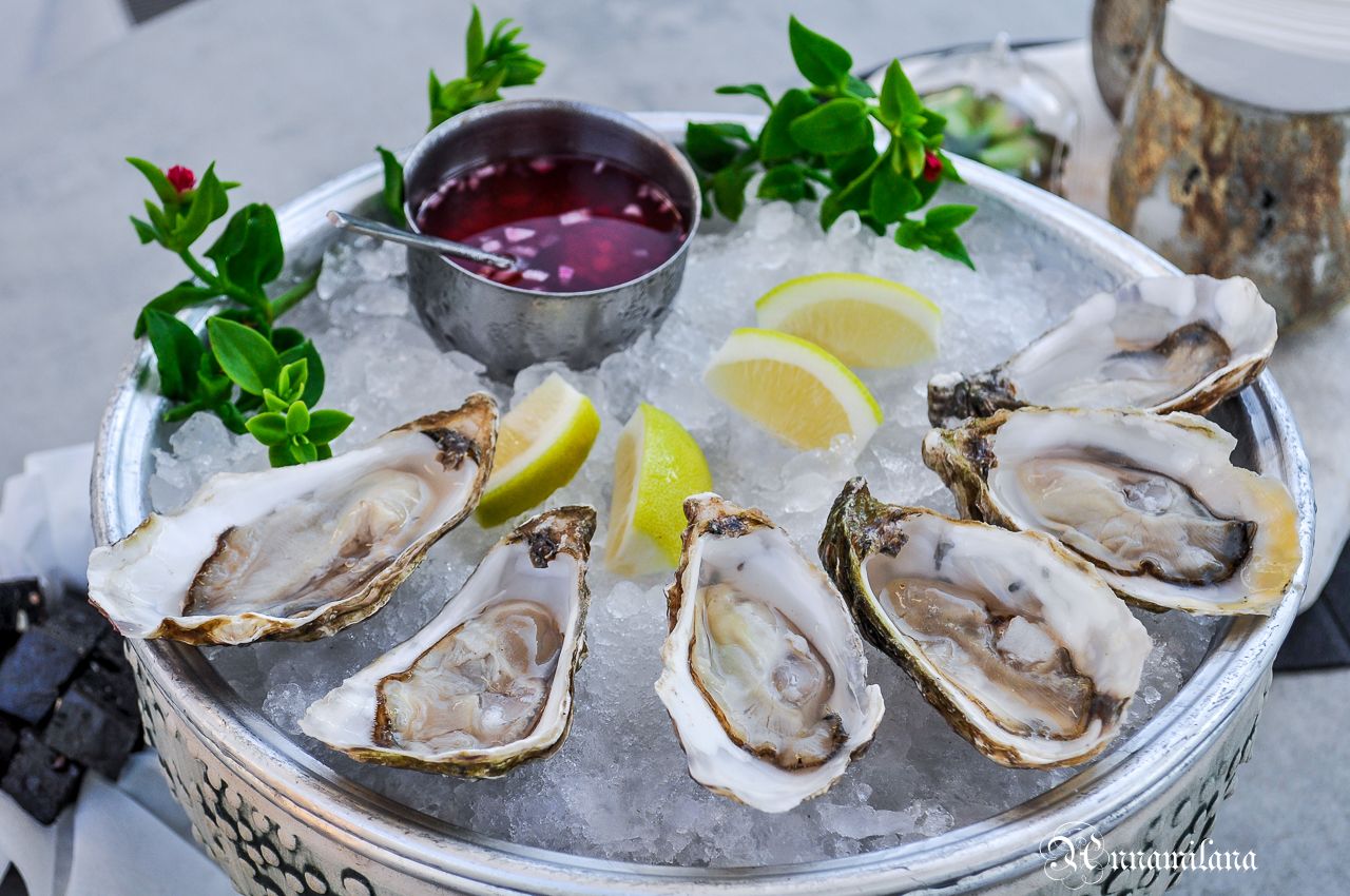 Бар «13oysters»