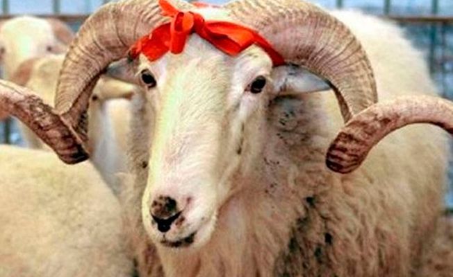 На Северном Кипре грядут долгие выходные