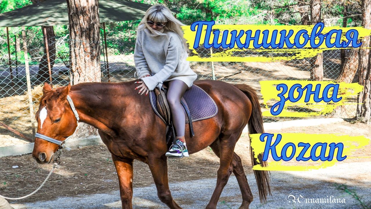 Пикниковая зона Kozan