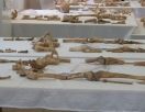 Найдены останки двух человек