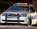 Проверка государственных авто