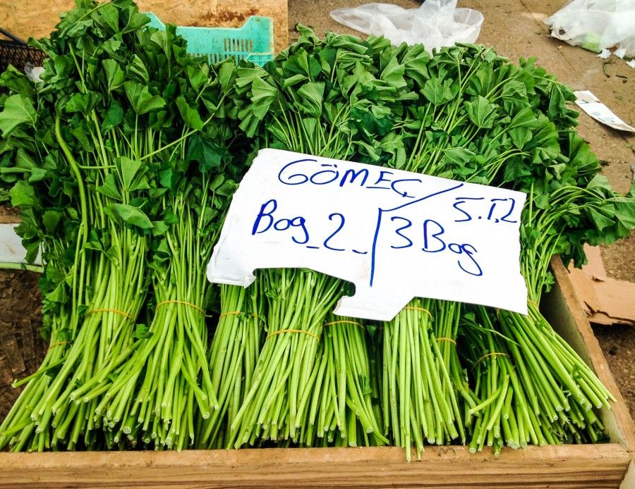 Что такое Gömeç otu