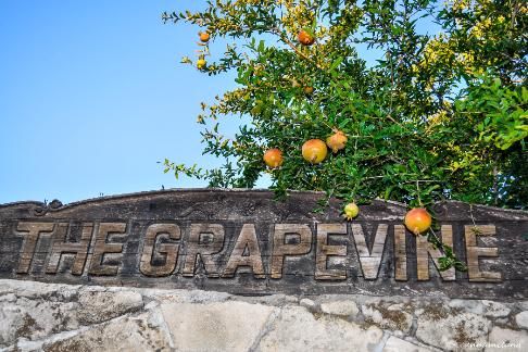 The Grapevine