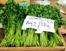 Gömeç otu или мальва лесная
