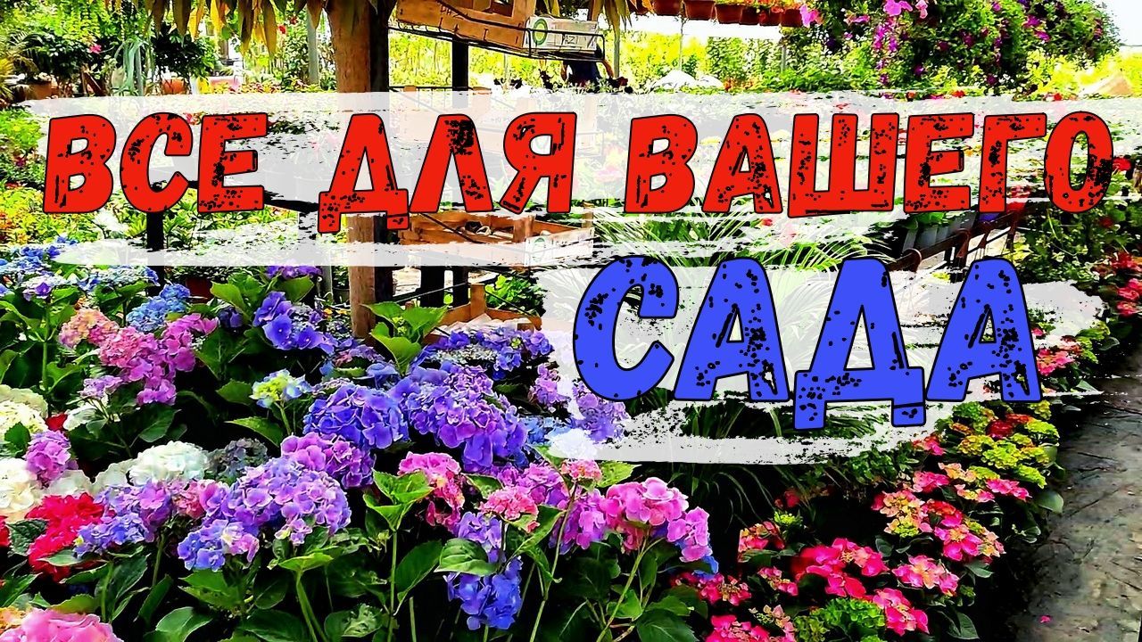 Все для вашего сада