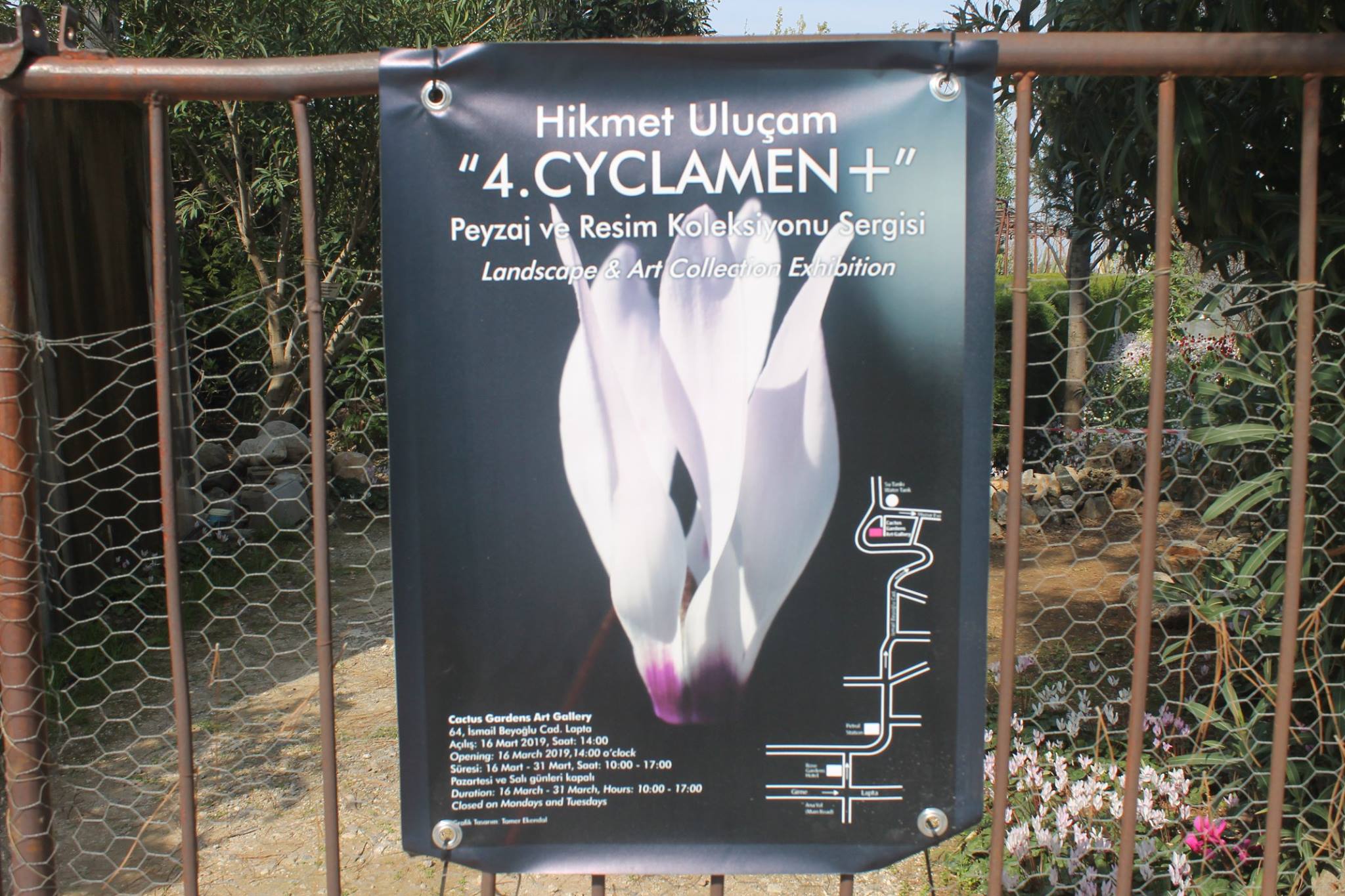 Выставка "4. CYCLAMEN+"