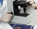 Знания и практические навыки рассмотрели под микроскопом