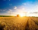 Турция и Северный Кипр свободны от генно-модифицированных продуктов питания