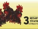 Театральный сезон в Беярмуду