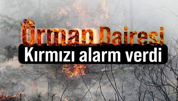 Жаркая погода может привезти к пожарам