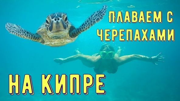 Плаваем с черепахами на Кипре