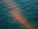 Нефтяное пятно у берегов Северного Кипра достигло 7 км