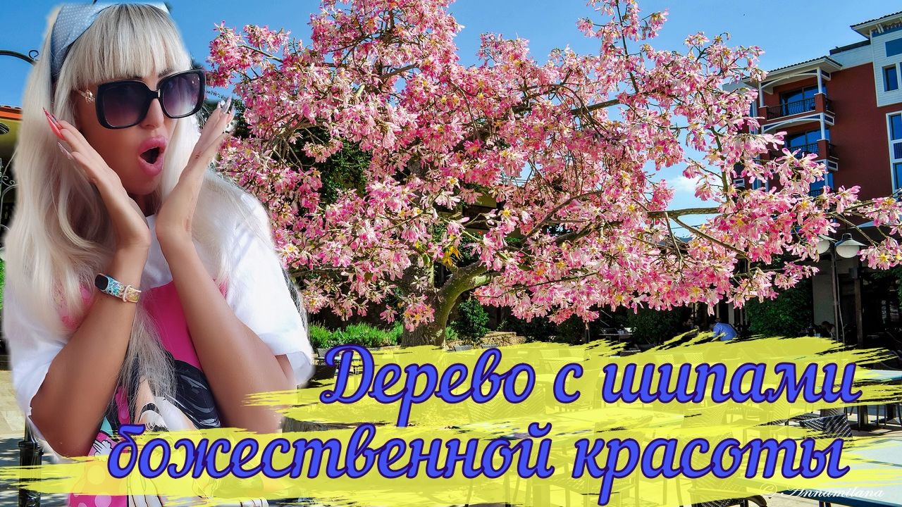 Дерево божественной красоты