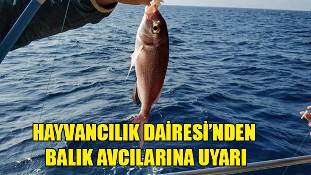 Правила для рыбаков