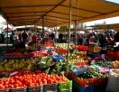 Фрукты и овощи ТРСК безопасны для здоровья человека