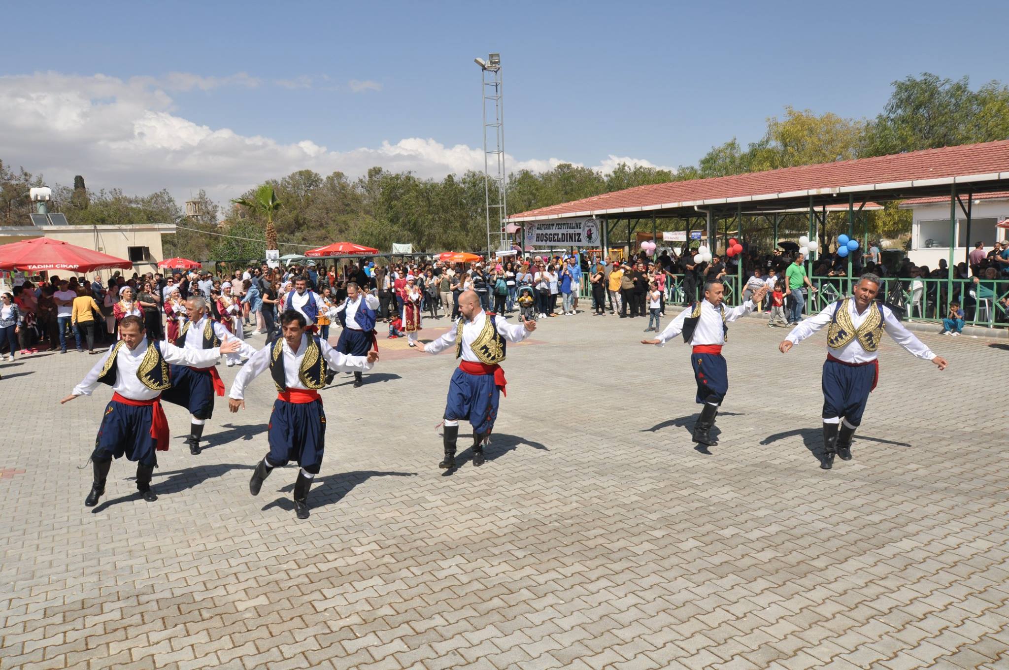 Фестиваль дикого артишока