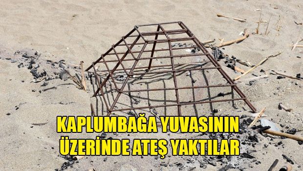 За разведение костра в неположенном месте грозит срок