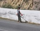 Кирения приняла участие в экологическом проекте